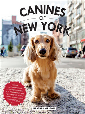 cover image of Canines of New York